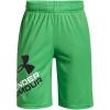 (328) Extreme Green / / Black