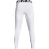 imageUnder Armour Mens ColdGear LeggingsWhiteBlack
