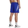 imageUnder Armour Mens Woven Graphic Shorts401 Team Royal   White