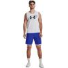 imageUnder Armour Mens Woven Graphic Shorts401 Team Royal   White