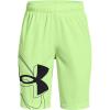 Summer Lime (162)/Black Summer Lime (162)/Black
