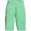 Matcha Green (342)/Black Matcha Green (342)/Black