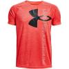 (810) Bolt Red / / Black (810) Bolt Red / / Black