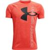 Dark Orange (860)/Black Dark Orange (860)/Black