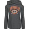 Gray - Hooded Gray - Hooded