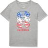 imageUnder Armour Boys Shirt Crewneck Lightweight and BreathablePitch Gray  Freedom Icon Flag Ss