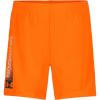 Blaze Orange Blaze Orange