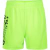 Lime Surge Lime Surge
