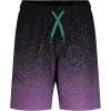 imageUnder Armour Boys Swim Trunk Shorts Lightweight ampamp Water Repelling Quick Dry MaterialTipped Provence Purple