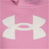 imageUnder Armour Girls Hoodie Fleece Inner Layer ampamp Cute Full FitFlamingo  Core