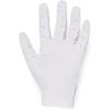 imageUnder Armour Boys Isochill Golf Glove JrWhite 100Steel