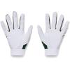imageUnder Armour Boys Youth Clean Up Baseball Gloves101 White  Forest Green  Forest Green