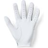 imageUnder Armour Womens IsoChill Golf GloveSteel