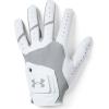 imageUnder Armour Womens IsoChill Golf GloveSteel