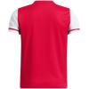 imageUnder Armour Boys Challenger Jersey600 Red  White  White