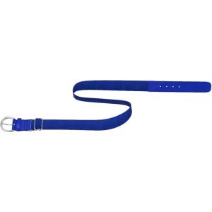 imageUnder Armour Womens Softball Belt400 Royal   White