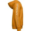 imageUnder Armour Boys Rival Fleece Full Zip HoodieGolden Yellow 711Onyx White