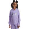 imageUnder Armour Girls Rival Fleece Shimmer Hoodie538 Transparent   Iridescent