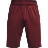 imageUnder Armour Mens Raid 20 Gym Shorts691 Chestnut Red  Black  Black