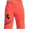 imageUnder Armour boys Prototype 20 Logo Shorts877 After Burn   Black