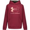 imageUnder Armour Boys Armour Fleece Big Logo HoodieCordovan